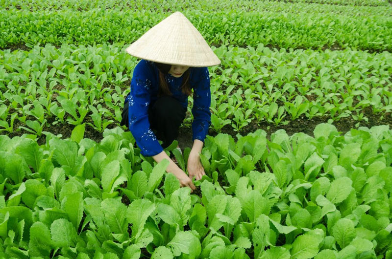 農業氣象站安裝與維護需要注意6個地方 農業氣象站安裝與維護需要注意6個地方