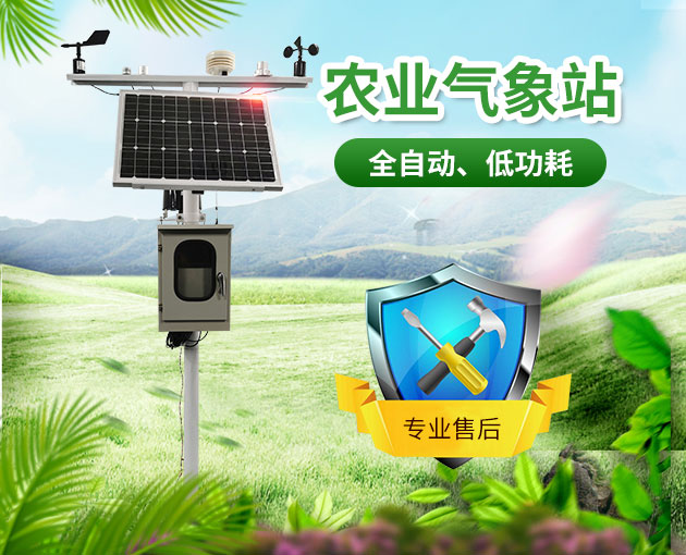 山東地區無公害葡萄種植需要什么條件? 山東地區無公害葡萄種植需要什么條件?